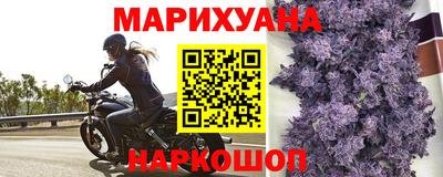 трава Славгород
