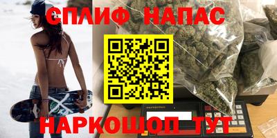 прущие грибы Славянск-на-Кубани