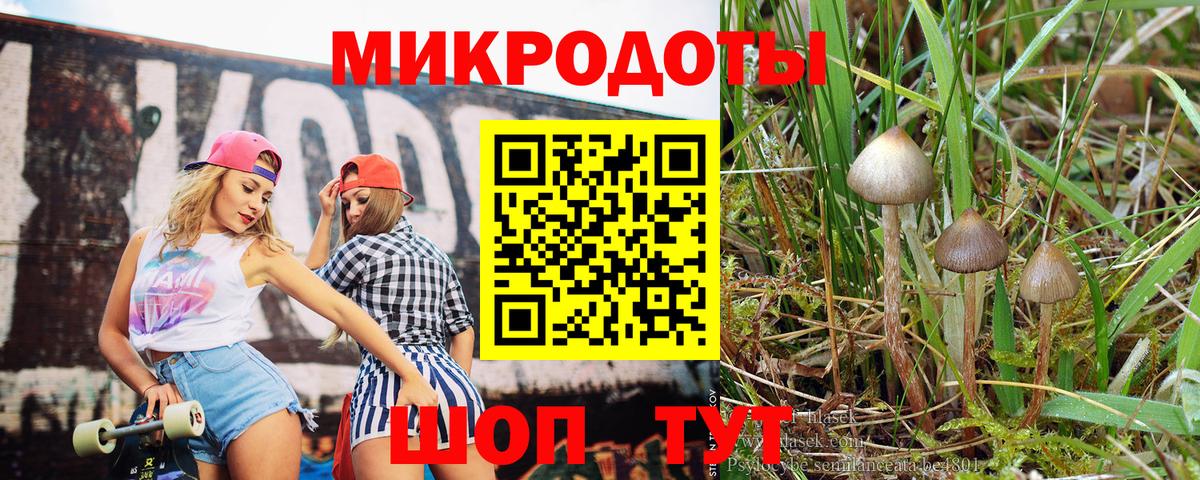 Псилоцибиновые грибы мухоморы Печора