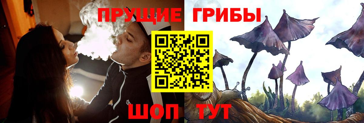 Печора  Псилоцибиновые грибы Magic Shrooms  где продают   Вход с VPN 